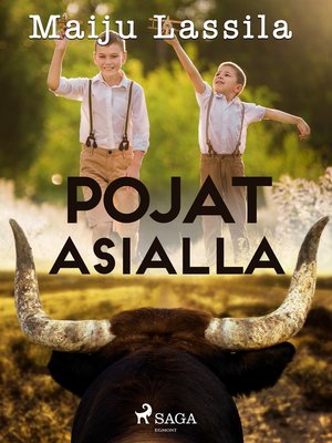 cover image of Pojat asialla